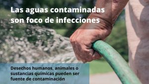 Lee más sobre el artículo Enfermedades infecciosas relacionadas con el agua
