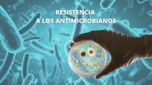 Lee más sobre el artículo RESISTENCIA A LOS ANTIMICROBIANOS: Una posible pandemia silenciosa