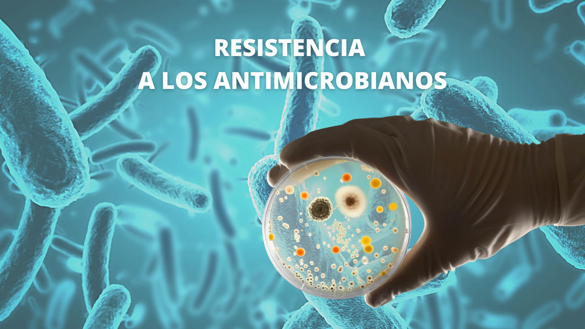 Lee más sobre el artículo RESISTENCIA A LOS ANTIMICROBIANOS: Una posible pandemia silenciosa
