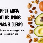 ¿Por qué los lípidos o grasas son tan importantes?