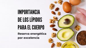 ¿Por qué los lípidos o grasas son tan importantes?