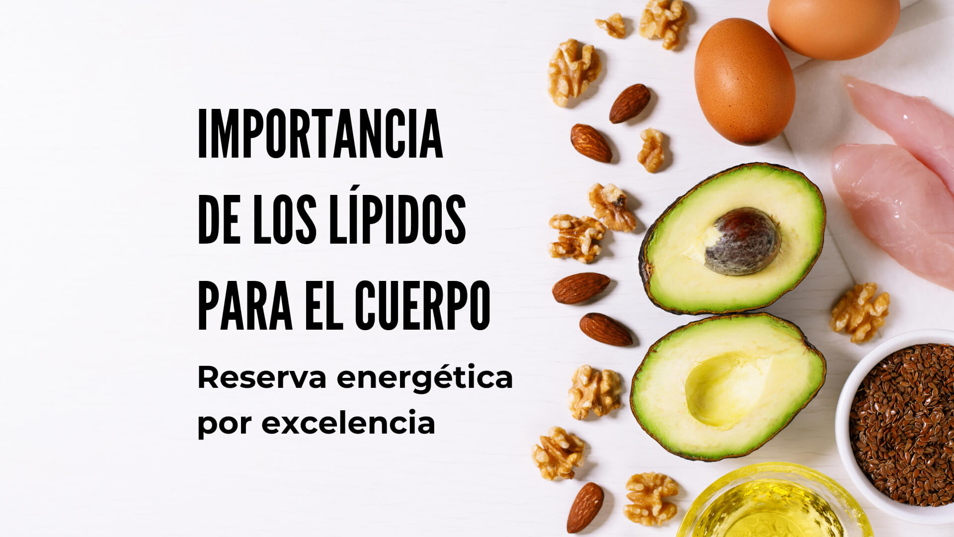 ¿Por qué los lípidos o grasas son tan importantes?