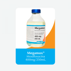 Lee más sobre el artículo MEGAMOX