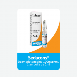 Lee más sobre el artículo SEDACONS